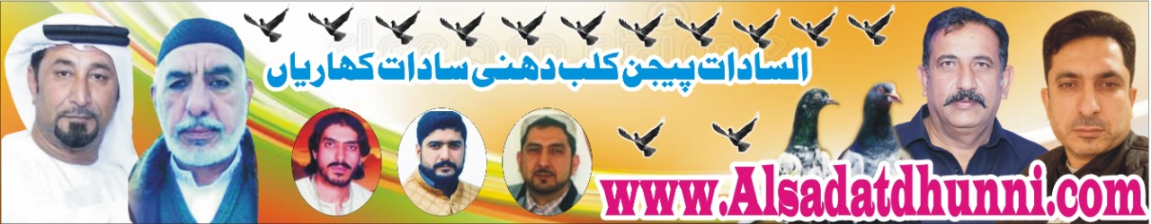 Al-Sadat Dhunni Pigeon Club