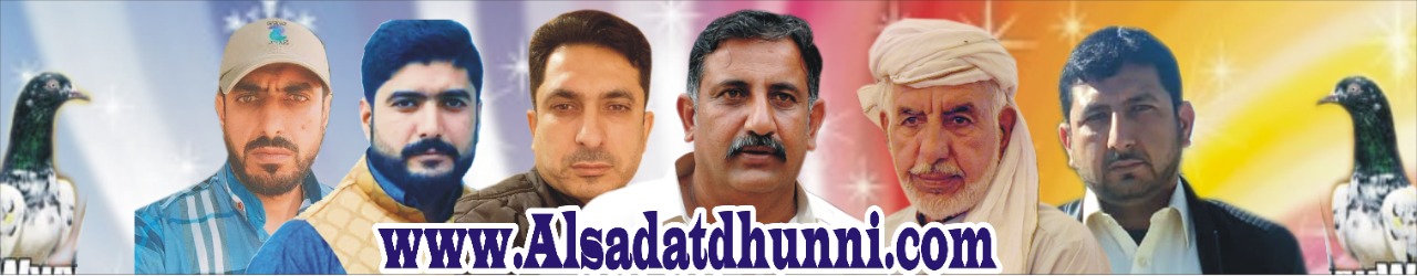 Al-Sadat Dhunni Pigeon Club