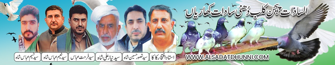 Al-Sadat Dhunni Pigeon Club