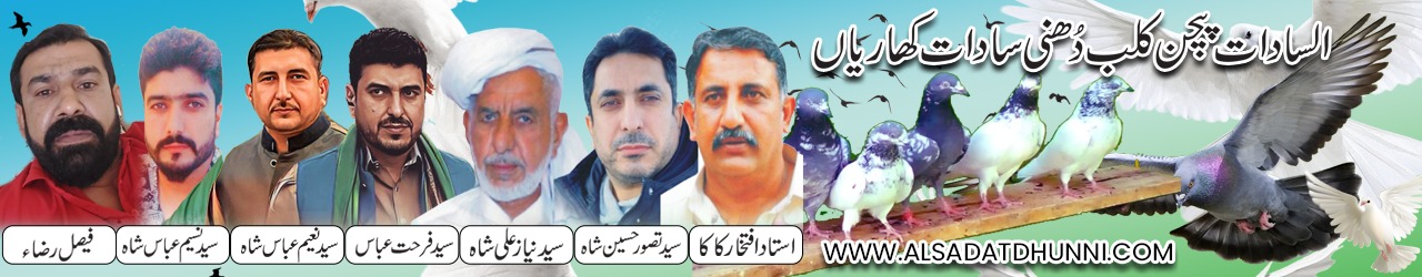 Al-Sadat Dhunni Pigeon Club